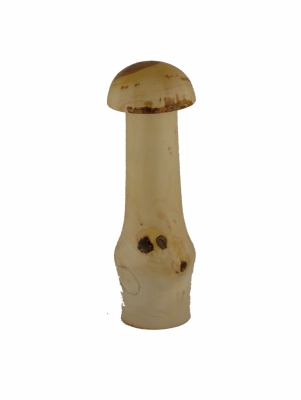 Mühli Pilz Öpfel
