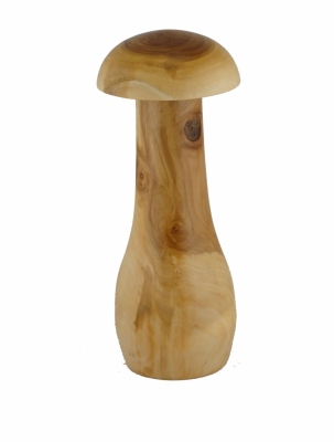 Mühli Pilz Öpfel