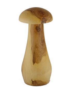 Mühli Pilz Öpfel