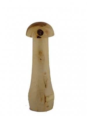 Mühli Pilz Öpfel