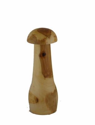 Mühli Pilz Öpfel