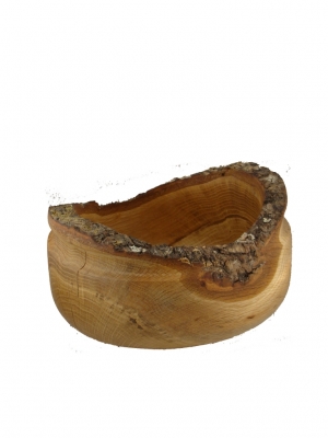 Schüssle Eiche